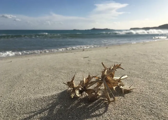 Апартаменти Rokkaria Holidays *